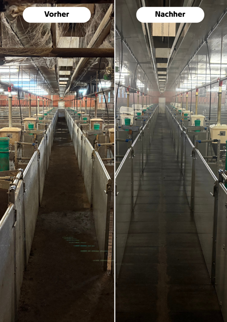Strahlrein Stallreinigung
