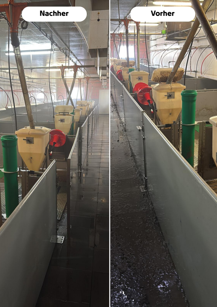 Strahlrein Stallreinigung